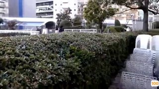 18🈲最新电视剧,迅雷电影下载www⭕❌66ys.tv的SEO综合查询